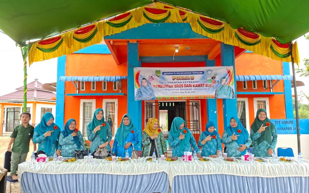 PKK DESA HARAPAN JAYA SULAP KAWAT BULU JADI BROS CANTIK BERNILAI EKONOMIS
